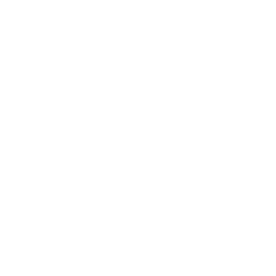 Pirgun Logo